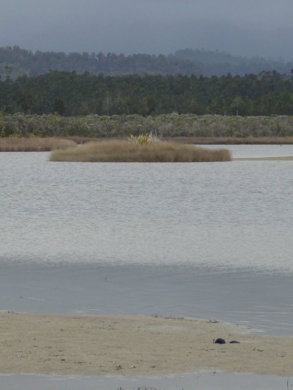 Travel - New Zealand - West Coast - Okarito